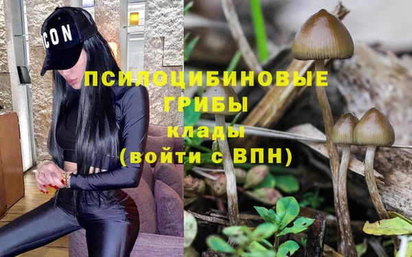 меф Мегион